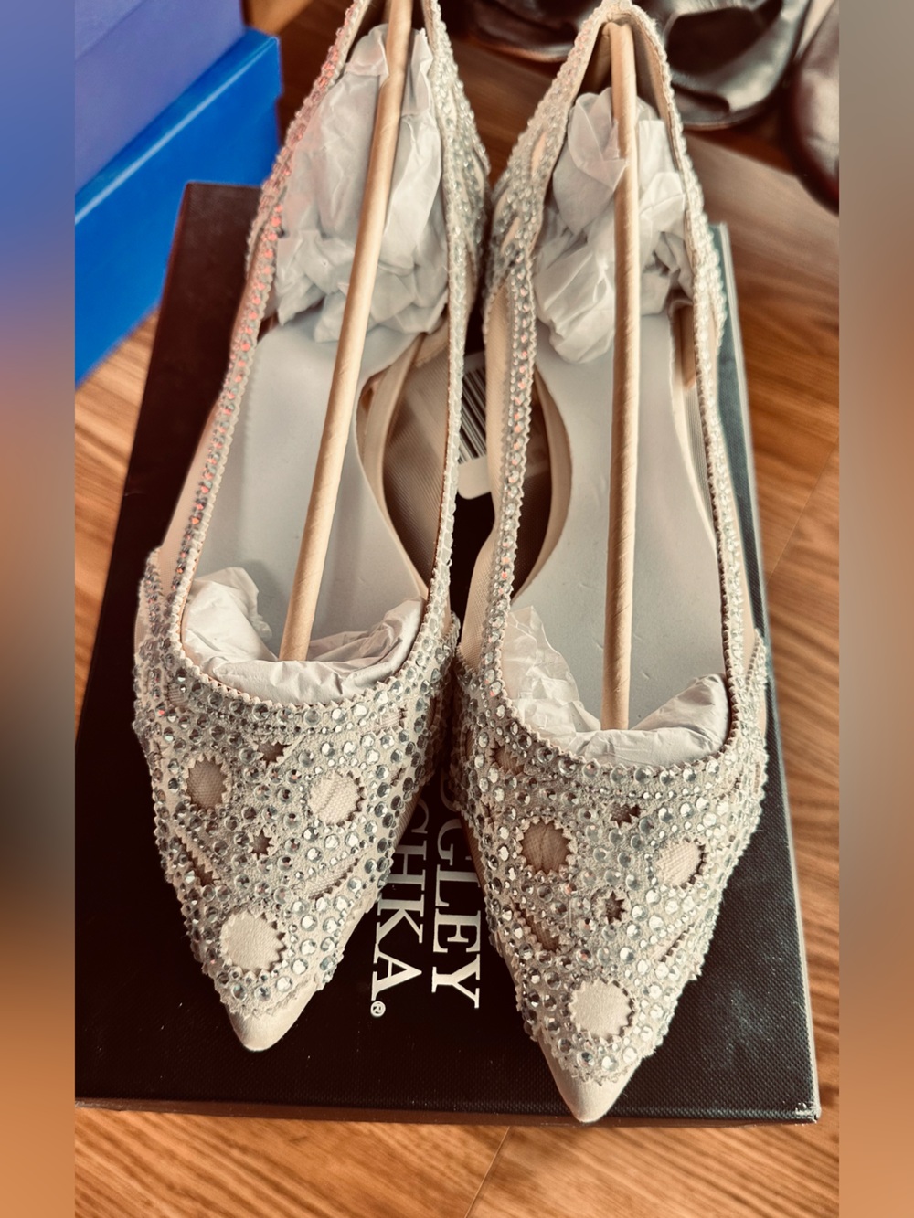 Badgley Mischka Crystal-Embellished Ivory Size 11 Pointed Toe Flats, New In Box.